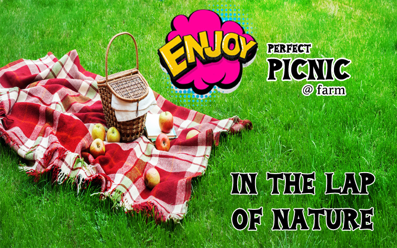 picnic resort near me