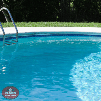 Villa with private pool at Shahapur