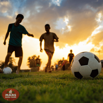 Villas in Igatpuri with pool - MARS