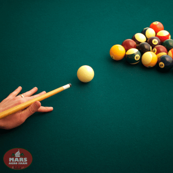 Villas in Igatpuri with private pool - MARS