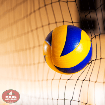 Villas in Shahapur - MARS