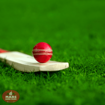 Villas with swimming pool at Shahapur