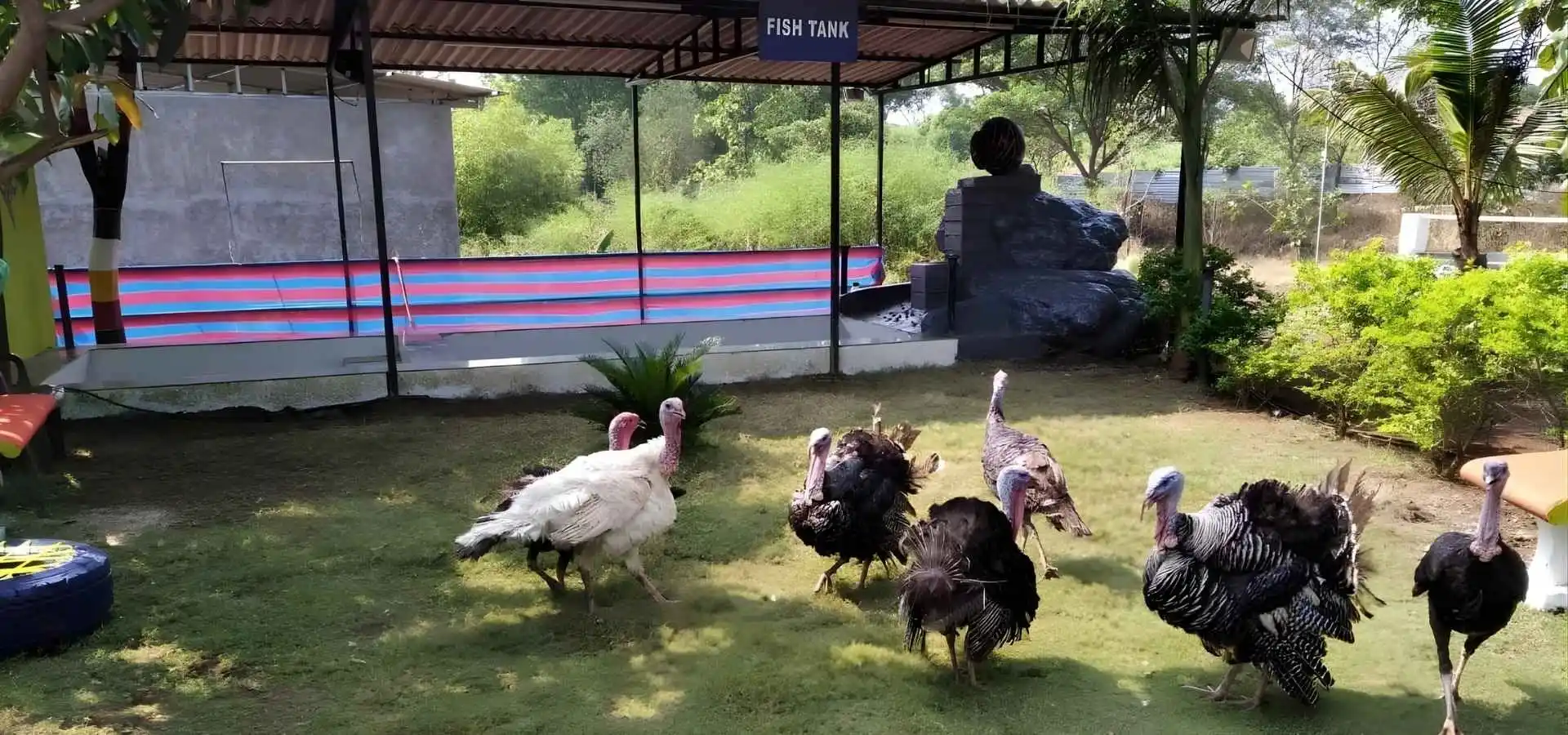 Resort in Shahapur Resort in Shahapur