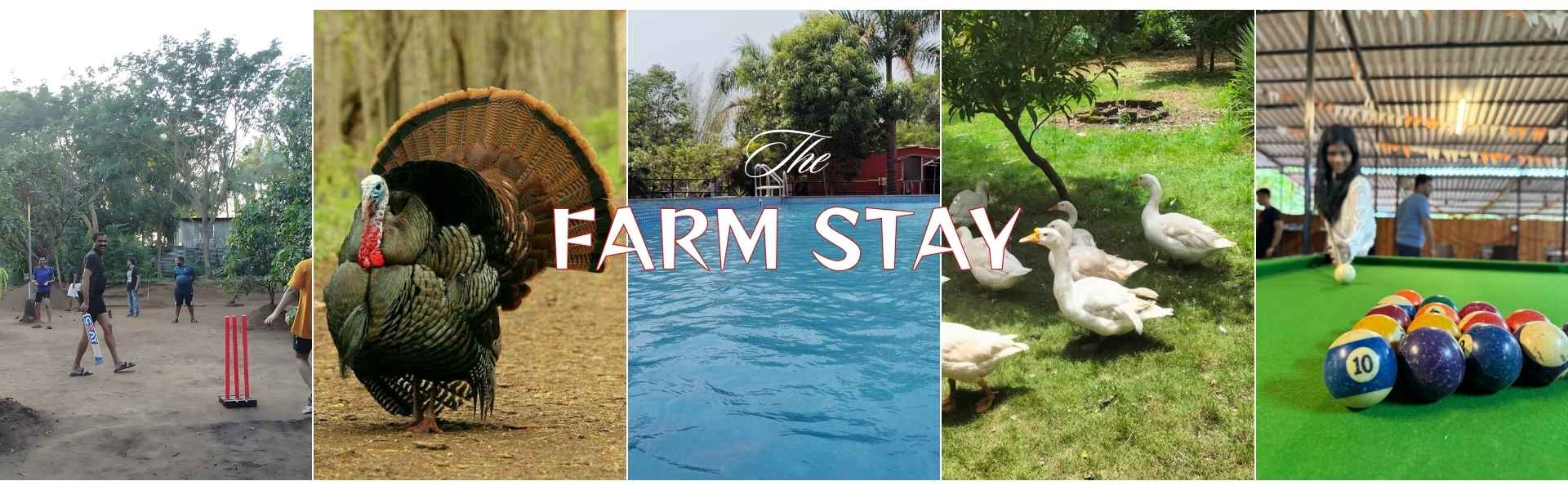FARM STAY near Mumbai