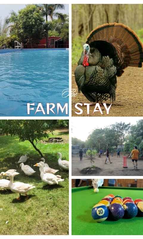 Farm Stay Near Mumbai